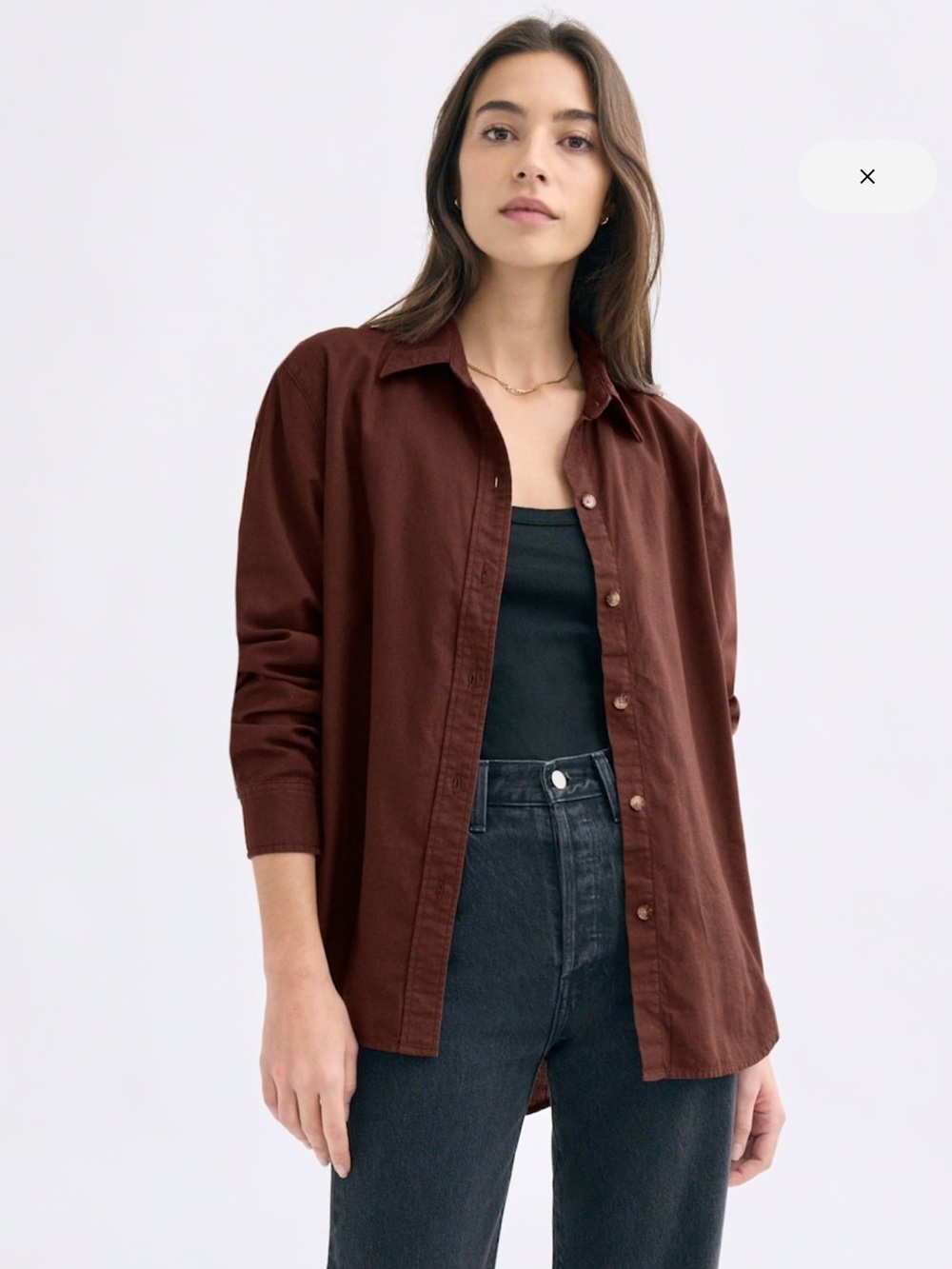 Aritzia Denim Forum The Jane long sleeve button up